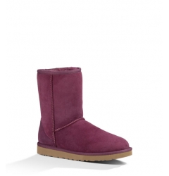 KID's Classic Short Violet 5251